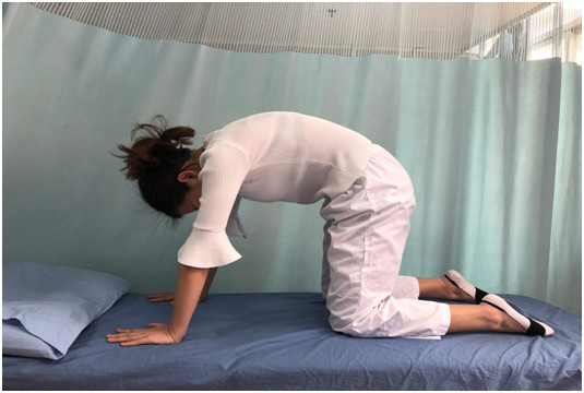 貓式運動1.png 貓式運動1.png