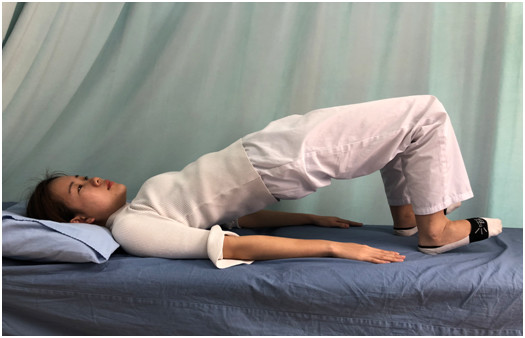 橋式運動2.png 橋式運動2.png