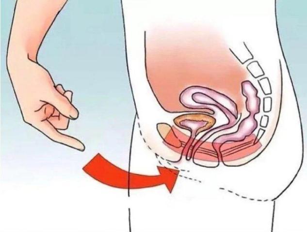 9e81aa8934124fb19cd38fc6fe20288e_noop.jpg 9e81aa8934124fb19cd38fc6fe20288e_noop.jpg